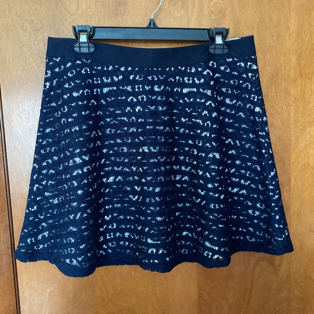 The Limited lace and striped skirt